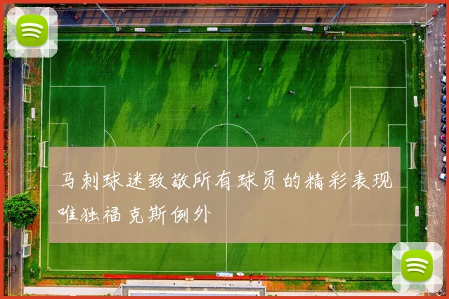 马刺球迷致敬所有球员的精彩表现唯独福克斯例外